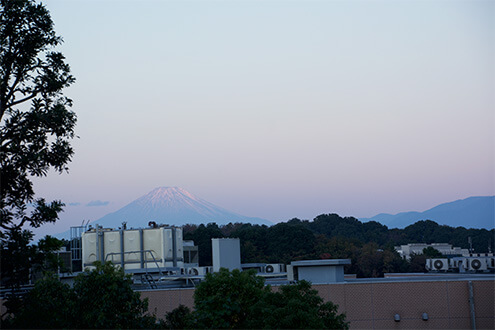 リハパーク施設内の風景